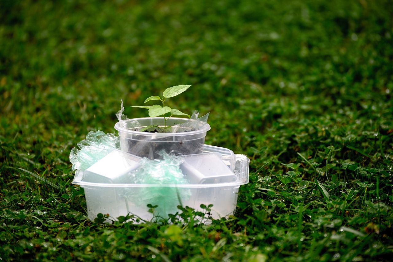 Is PHA the future of sustainable packaging?